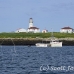 lighthouse_island_seal_machias_h_2305_can1011.jpg